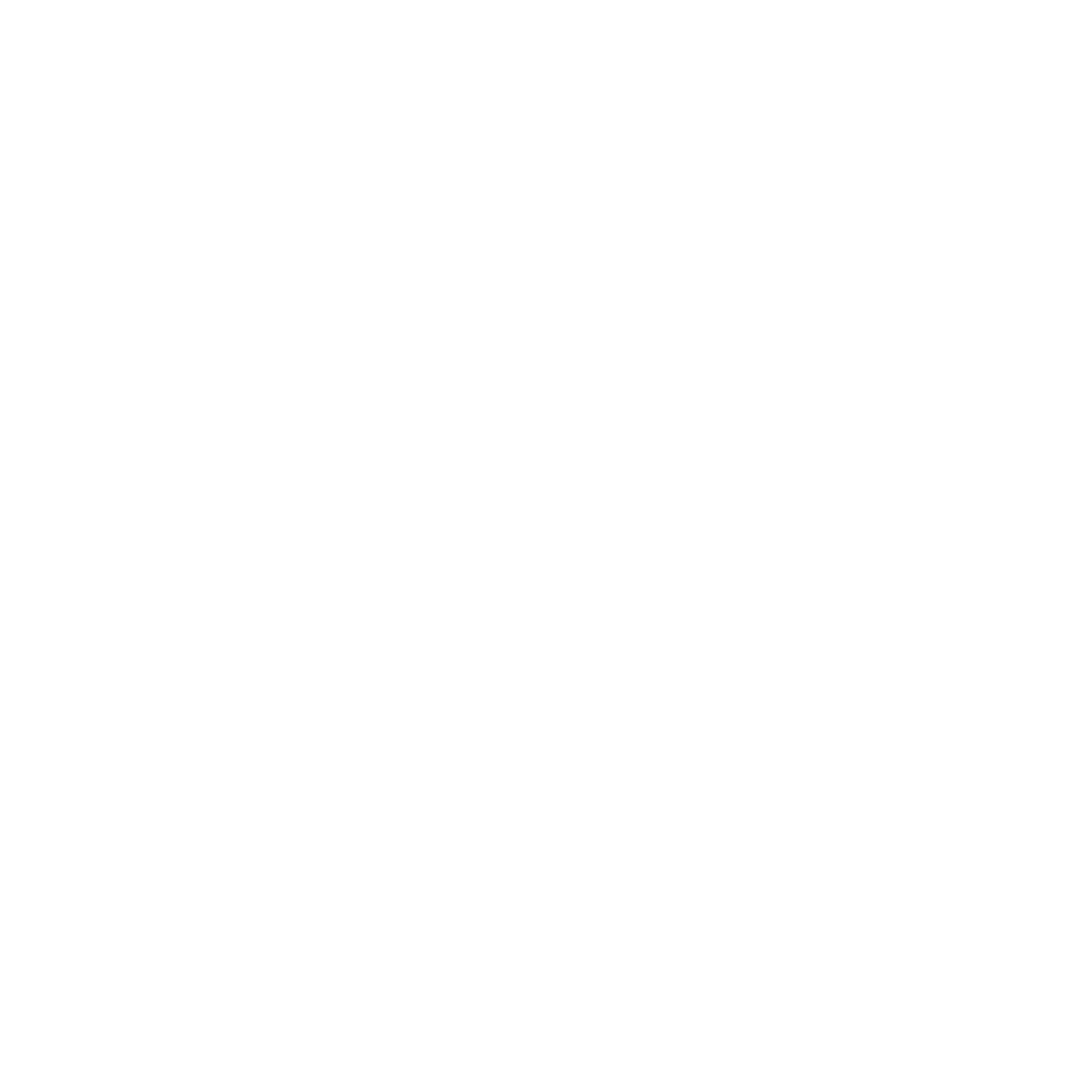 24 PRO Logo Animado