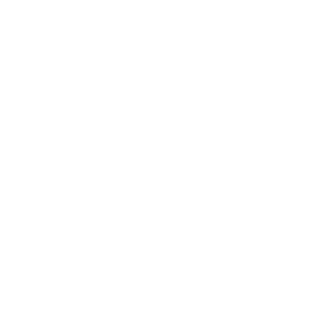 24 PRO